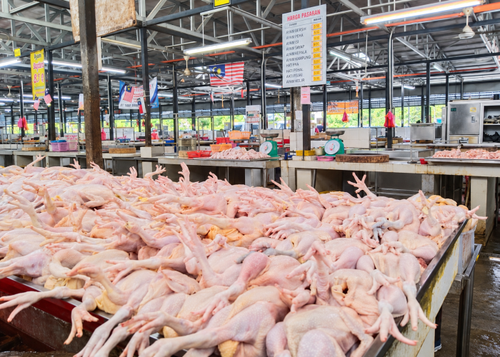 Empty Malaysian Poultry Market